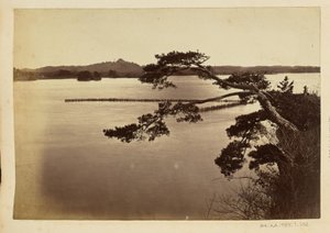 [Landschaft mit See und Bäumen] von Unknown artist
