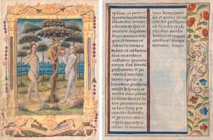 Blatt aus einem Stundenbuch: Adam und Eva und der Sündenfall (Einleitende Miniatur zum Marienoffizium) (recto) und Text mit illustriertem Rand (verso) (1 von 3 herausgetrennten Blättern)
