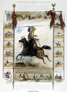 Mameluck (Östliches Reiten) - in „Picturesque History of Ancient and Modern Horseback Riding“ von Charles Aubry von Unknown artist