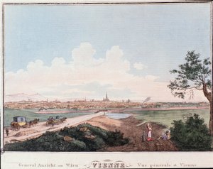 Überblick über die Stadt Wien mit Brücke über die Donau