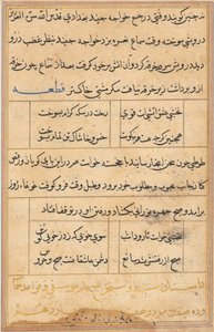Seite aus Geschichten eines Papageis (Tuti-nama): Textseite von Unknown artist