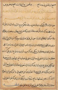 Seite aus Geschichten eines Papageis (Tuti-nama): Textseite von Unknown artist