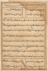 Seite aus Geschichten eines Papageis (Tuti-nama): Textseite von Unknown artist
