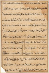 Seite aus Geschichten eines Papageis (Tuti-nama): Textseite von Unknown artist
