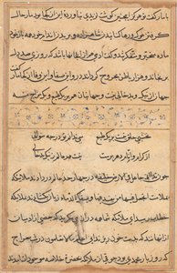 Seite aus Geschichten eines Papageis (Tuti-nama): Textseite