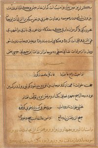 Seite aus Geschichten eines Papageis (Tuti-nama): Textseite von Unknown artist