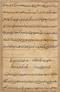 Seite aus Geschichten eines Papageis (Tuti-nama): Textseite von Unknown artist