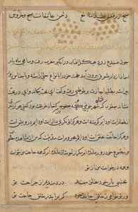 Seite aus Geschichten eines Papageis (Tuti-nama): Textseite von Unknown artist