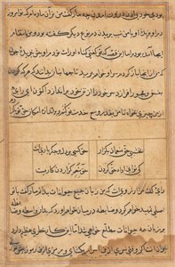 Seite aus Geschichten eines Papageis (Tuti-nama): Textseite von Unknown artist