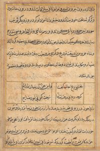 Seite aus Geschichten eines Papageis (Tuti-nama): Textseite von Unknown artist