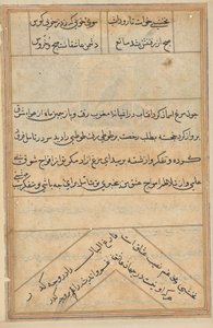 Seite aus Geschichten eines Papageis (Tuti-nama): Textseite von Unknown artist