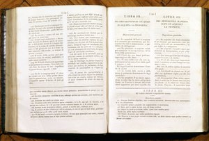 Seiten des Zivilgesetzbuches von Napoleon. auf Französisch und Italienisch
