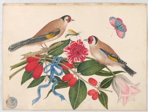 Paar braune Vögel mit Blüten, Beeren und einem Schmetterling von Unknown artist