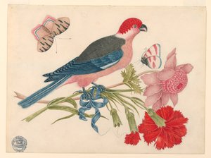 Rosa, roter, blauer und schwarzer Vogel auf Zweig mit Blüten und Schmetterlingen