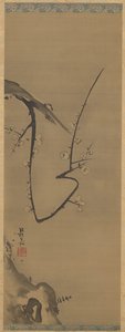 Pflaumenbaum von Unknown artist