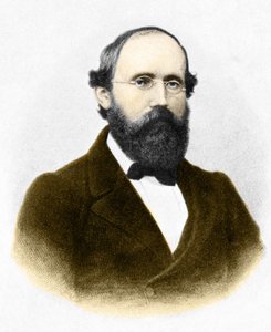 Porträt von Bernhard Riemann (1826-1866), deutscher Mathematiker