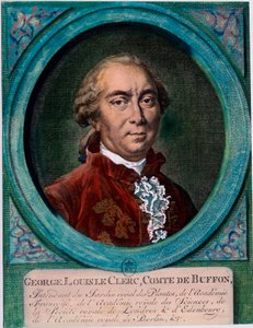 Porträt von George Louis Le Clerc, Graf von Buffon (1707-1788), französischer Naturforscher und Schriftsteller. Gravur des 18. Jahrhunderts. Private Sammlung von Unknown artist