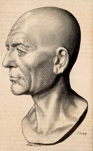 Porträt von Publius Cornelius Scipio (Scipio Africanus), römischer Staatsmann (235-183 v. Chr.) von Unknown artist