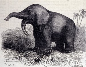 Vorgeschichte: Darstellung eines Dinotheriums, eine Art Dickhäuter.