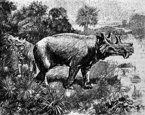 Urgeschichte: Darstellung eines vierhörnigen Uintatherium-Dinosauriers von Unknown artist
