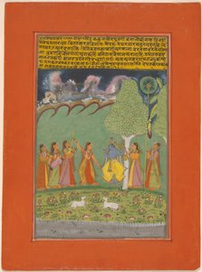 Rag Megh Malar, Seite aus einem Kranz von musikalischen Ragas (Ragamala) Set
