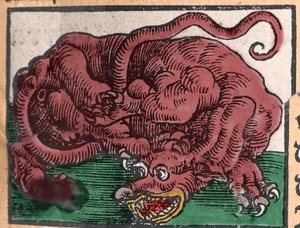 Darstellung eines Drachen. Gravur aus „Den Edlen Strength Besten Fromen“ von Johann Stumpff. 1550 von Unknown artist