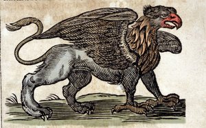 Darstellung eines Greifen, einer fantastischen Kreatur halb Adler, halb Löwe. Gravur aus einem Werk von Athanasius Kircher (1601 - 1680), Jesuit, Orientalist und Gelehrter von Unknown artist