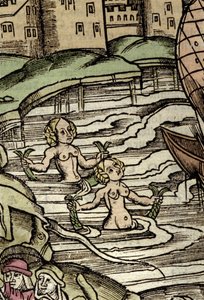 Darstellung von Sirenen. Gravur aus dem 16. Jahrhundert von Unknown artist