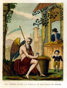 Sprichwörter: „Mit Zeit und Stroh reifen die Mispeln und Eicheln“ (Zeit macht alles reif), Illustration aus einer Sammlung von Sprichwörtern. 19. Jahrhundert von Unknown artist