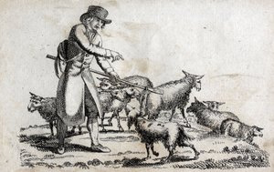 Schäfer mit seiner Schafherde. Gravur späte 18. Jahrhundert. Private Sammlung.