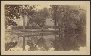 [Silverspring-Teich]