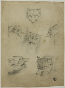Sechs Skizzen von Wolfsköpfen von Unknown artist