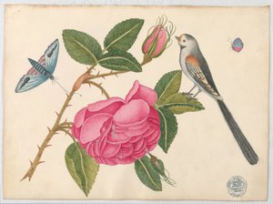 Kleiner Schwarz-Weiß-Vogel auf Rosenblatt mit Blüten und Schmetterlingen von Unknown artist