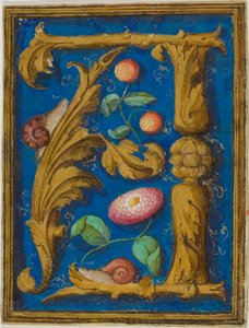 Schnecken, Erdbeeren und eine Blume in einem verzierten Initial "A" aus einem Manuskript von Unknown artist