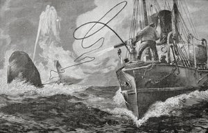 Dampfer als Walfänger von Unknown artist
