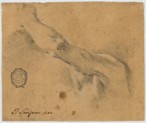 Studie: Der linke Arm und die benachbarten Teile des Körpers eines älteren Mannes von Unknown artist
