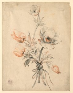 Studie eines Rosenstraußes von Unknown artist