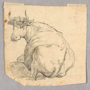 Studie einer Kuh von Unknown artist