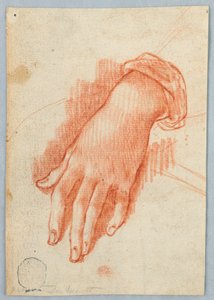 Studie der linken Hand einer Frau