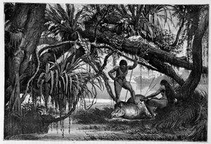 Tapir, getötet von Indianern Brasiliens - in „Rund um die Welt“ 2. Semester 1874