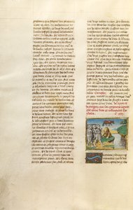 Die Ägypter beten das Bild eines Stiers an