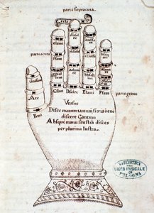Die Guidonische Hand. Seite aus dem Manuskript Kurze Zusammenfassung über den Gregorianischen Gesang von Gaspar Antonio Garegnani von Unknown artist