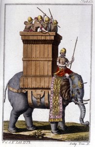 Der Elefant, den die Karthager als Arbeits- und Kriegstier nutzten. Gravur in der „Enciclopedia universale illustrata“ von Unknown artist