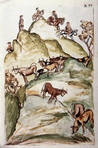 Die Kuhhirten umzingeln eine Gruppe von Kühen in den Bergen, um sie zu fangen, aus dem Buch "Trujillo del Peru" oder "Códice Martínez Compañón", von Baltazar Martinez Compañón y Bujanda, Bischof von Trujillo (1782-1785) von Unknown artist