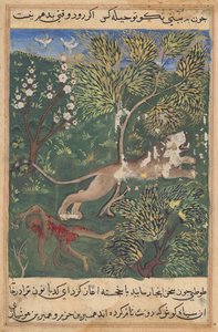 Der Löwe, der Verrat seitens des Affen vermutet, tötet ihn und flieht, aus einem Tuti-nama (Geschichten eines Papageis): Neunundzwanzigste Nacht von Unknown artist