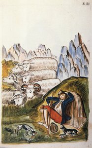 Der Hirte und seine Schafherde, aus dem Buch „Trujillo del Peru“ oder „Códice Martínez Compañón“, von Baltazar Martínez Compañón y Bujanda, Bischof von Trujillo (1782-1785) von Unknown artist