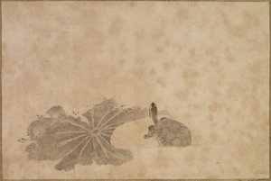 Schildkröte in einem Lotus-Teich