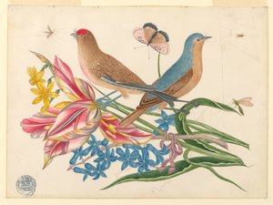 Zwei Vögel auf einem Tulpenzweig mit Insekten