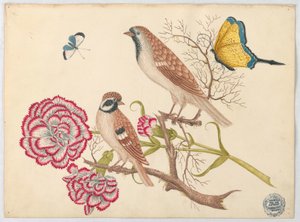 Zwei braune Vögel mit Nelken und Schmetterlingen von Unknown artist