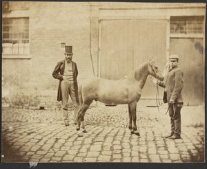 [Zwei Männer und ein Pferd]
